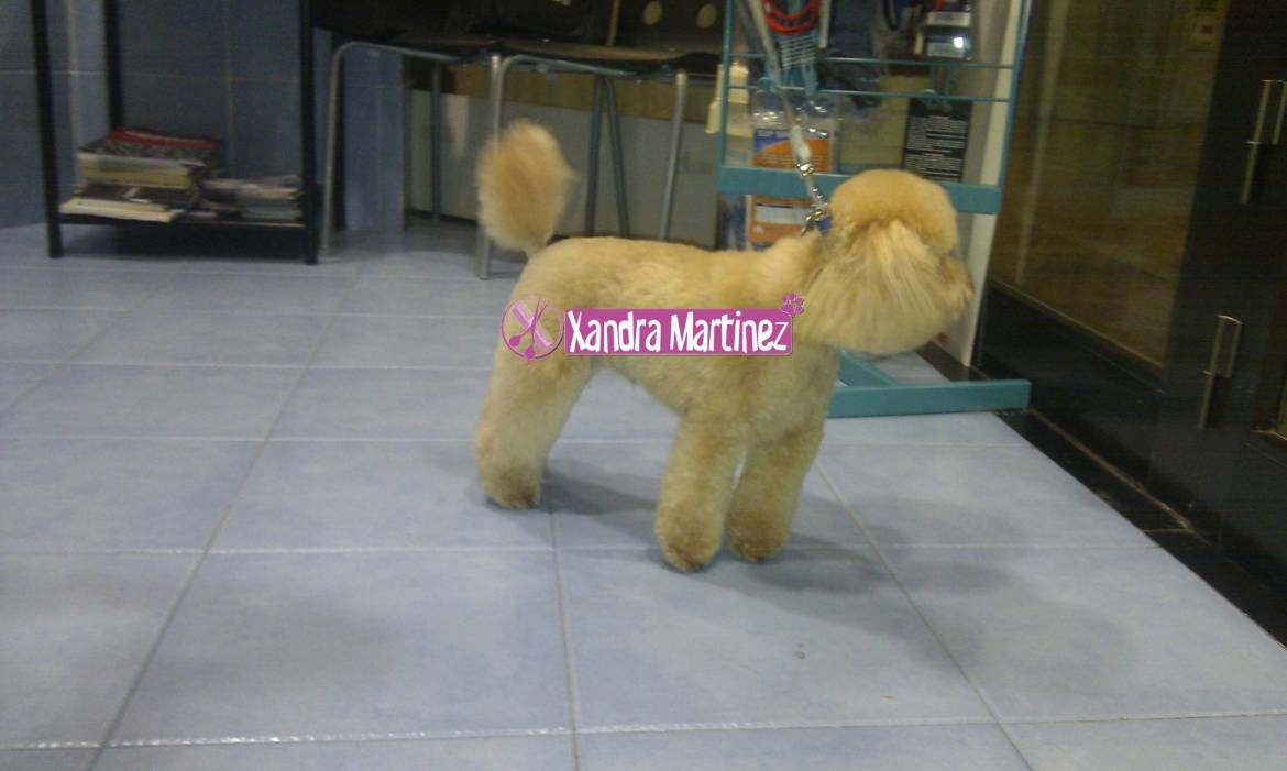 7-Poo-Kiko-Después-scaled.jpg