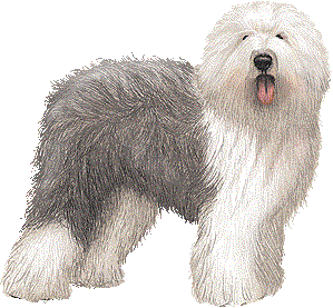 bobtail.gif