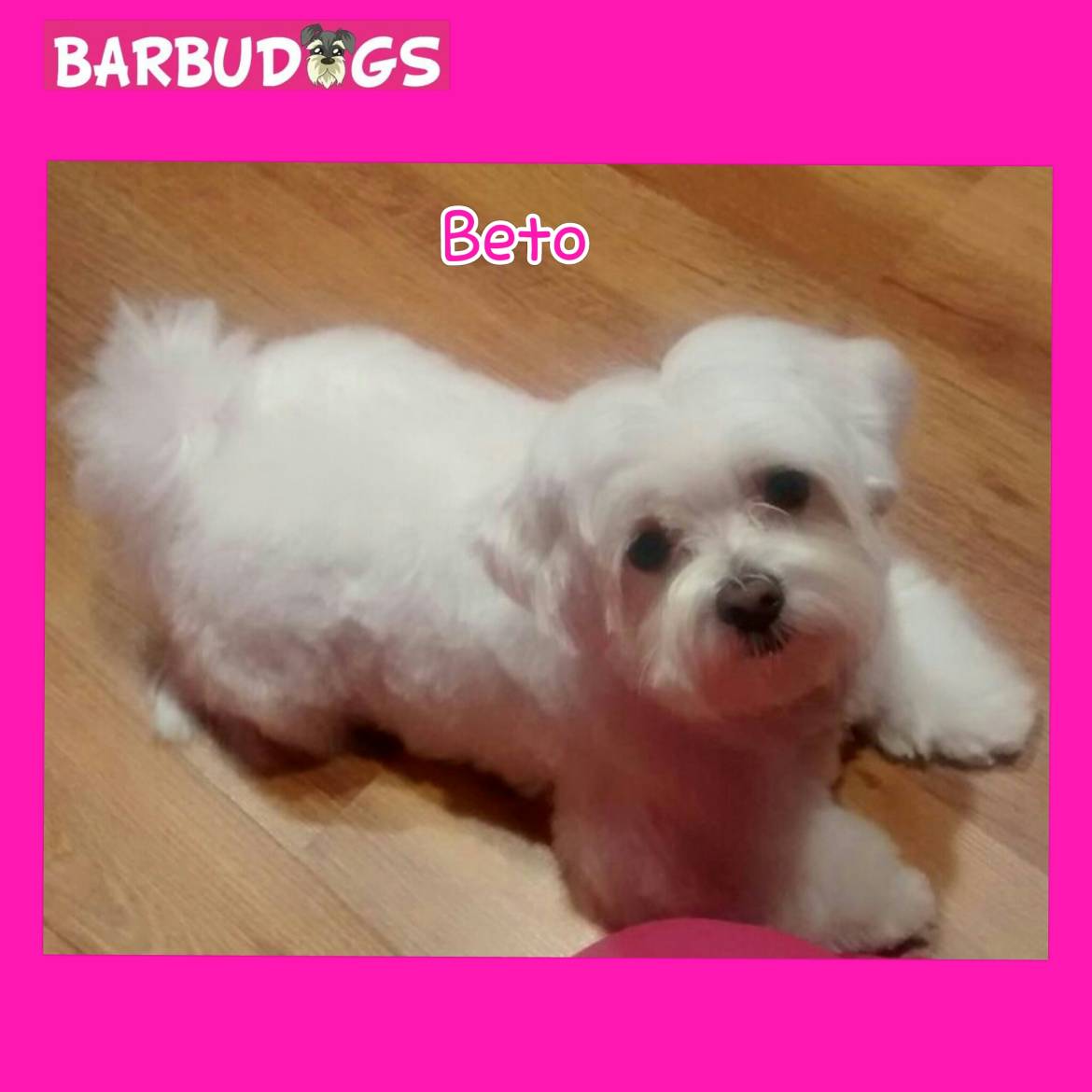 PhotoGrid_1418488227835.jpg