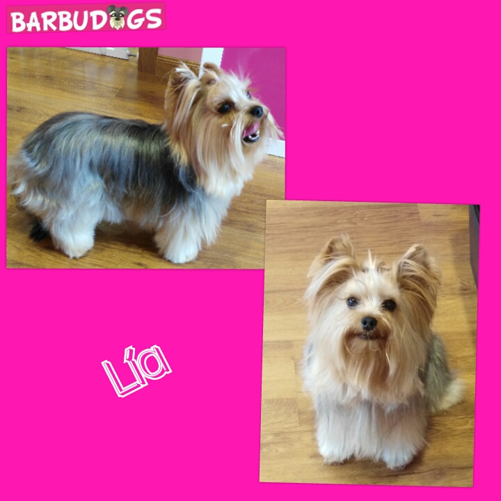 PhotoGrid_1429975772100.jpg