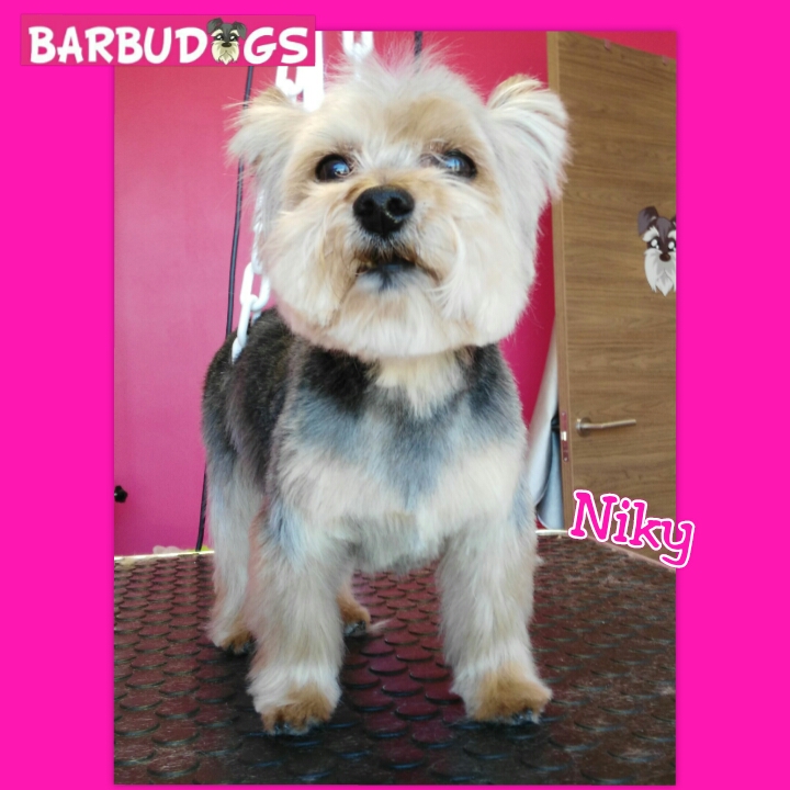 PhotoGrid_1432247756129.jpg