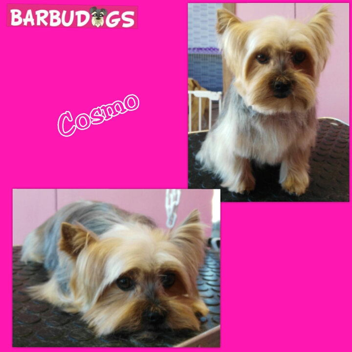 PhotoGrid_1432765200138.jpg