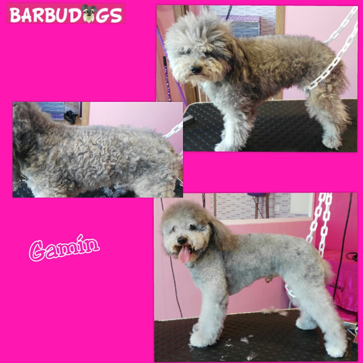 PhotoGrid_1432765651216.jpg