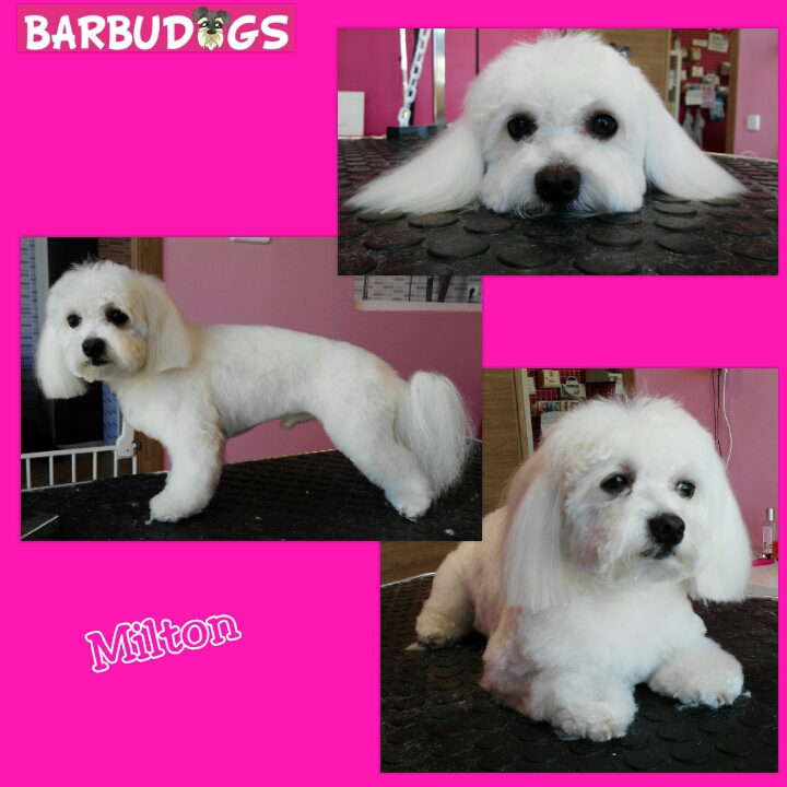 PhotoGrid_1436550767617.jpg