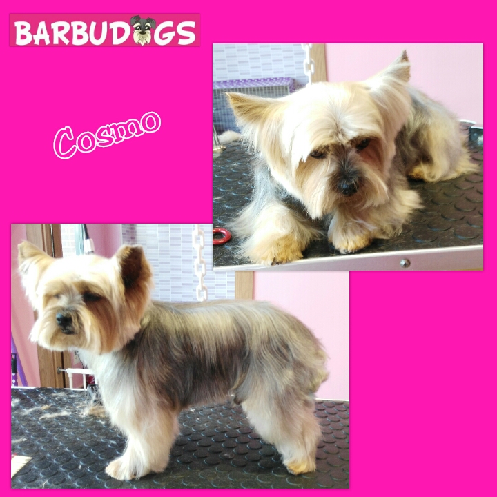 PhotoGrid_1436996356100.jpg