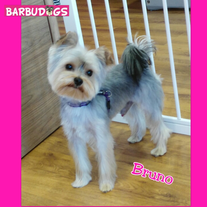 PhotoGrid_1436996594144.jpg