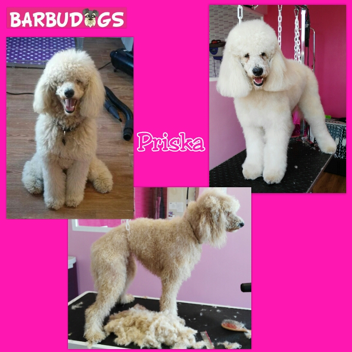 PhotoGrid_1436996849010.jpg