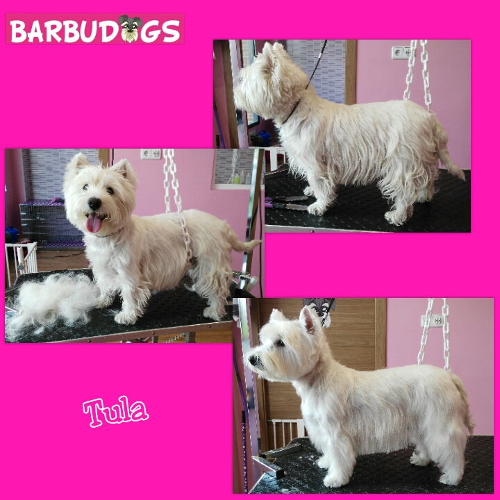 PhotoGrid_1442144879280.jpg
