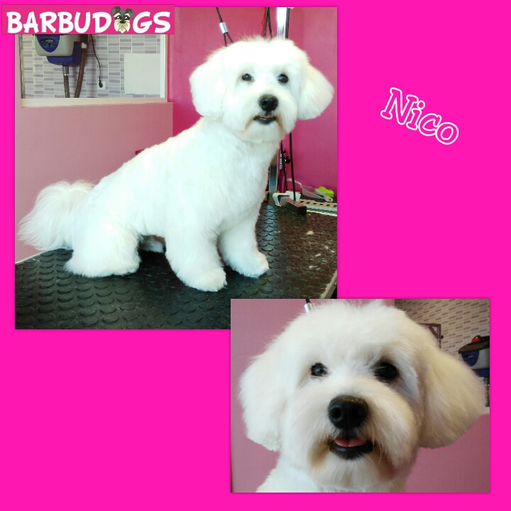 PhotoGrid_1442754936219.jpg