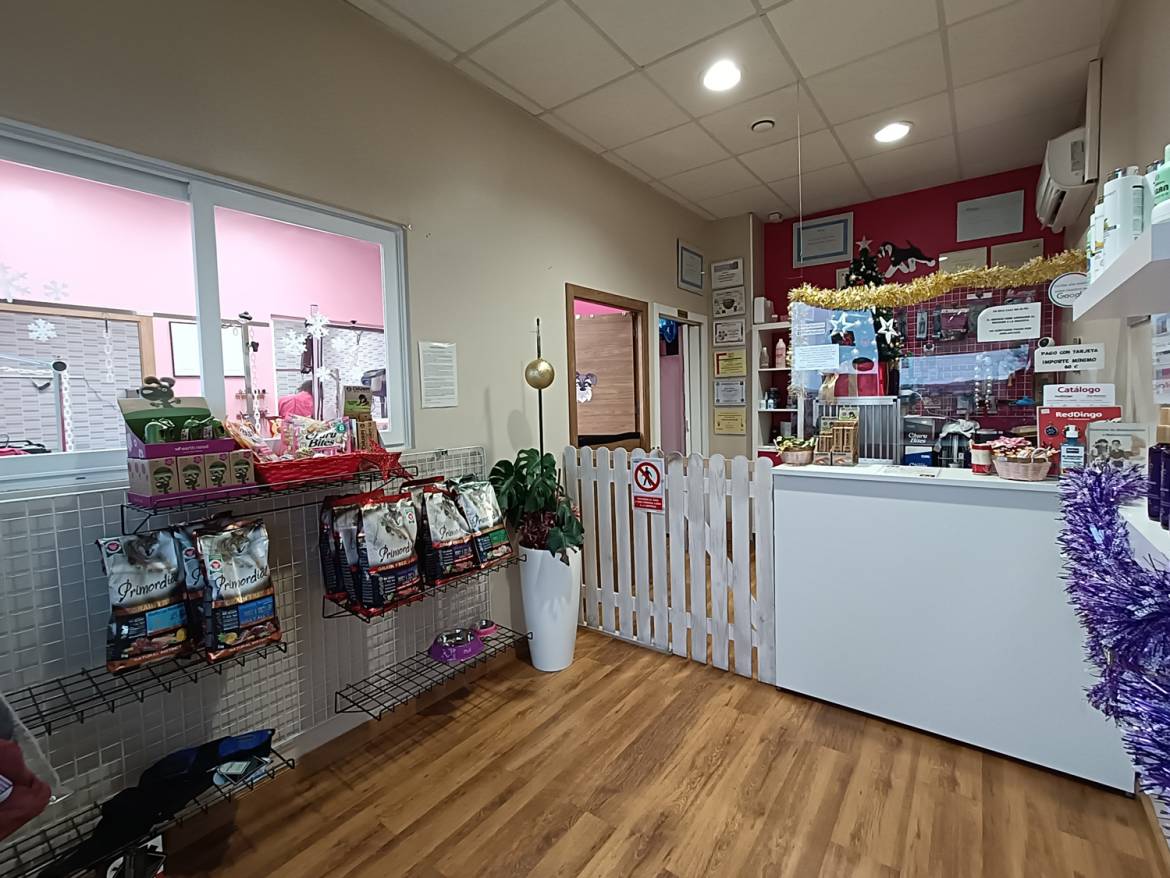 tienda.jpg